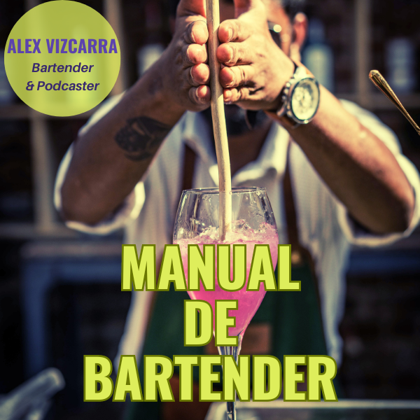 manual de bartender